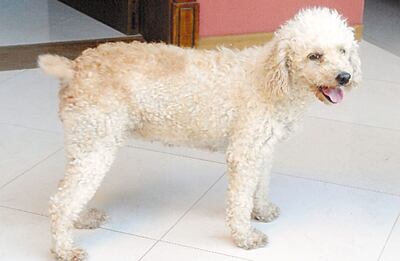 /pf/resources/images/abc-placeholder.png?d=2421