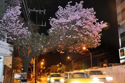 /pf/resources/images/abc-placeholder.png?d=2433