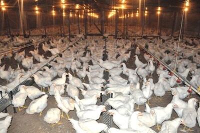 /pf/resources/images/abc-placeholder.png?d=2420