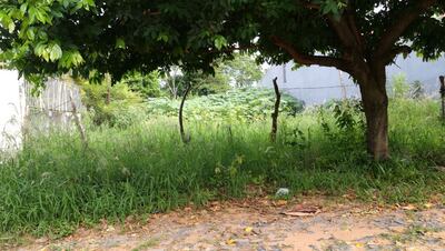 /pf/resources/images/abc-placeholder.png?d=2394