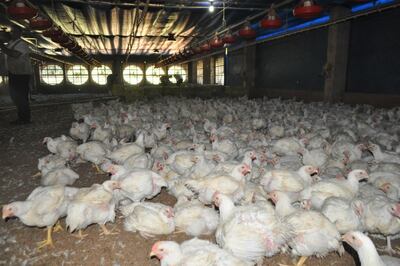 Imagen sin descripción