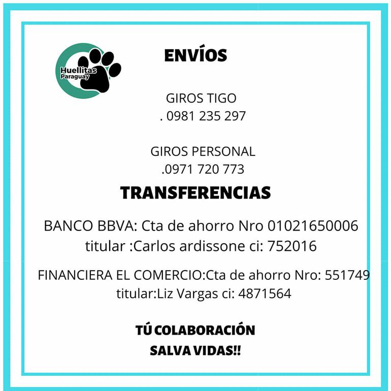 Piden ayuda para seguir cuidando de perros y gatos abandonados.