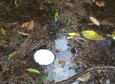 /pf/resources/images/abc-placeholder.png?d=2421