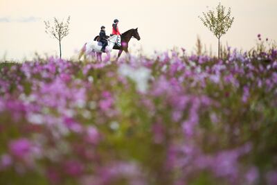 Cabalgar puede contribuir a fortalecer la espalda y los brazos.