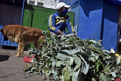 Un hombre con mascarilla vende hojas de eucalipto en una calle de El Alto, Bolivia.