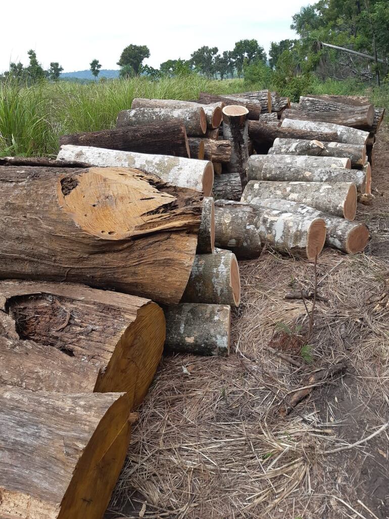 Imágenes de la intervención dentro del Parque Nacional “Serranías de San Luis”, en el distrito de San Alfredo, Concepción.