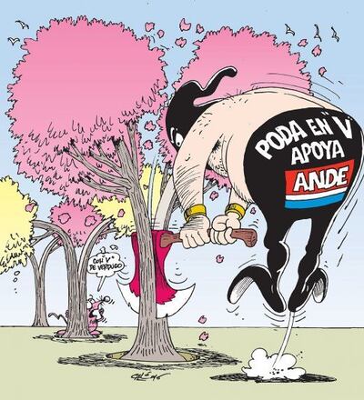 /pf/resources/images/abc-placeholder.png?d=2395