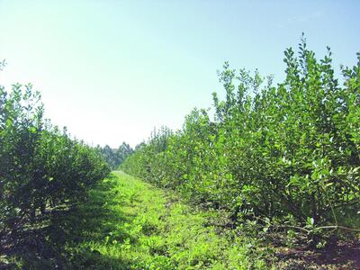 /pf/resources/images/abc-placeholder.png?d=2421