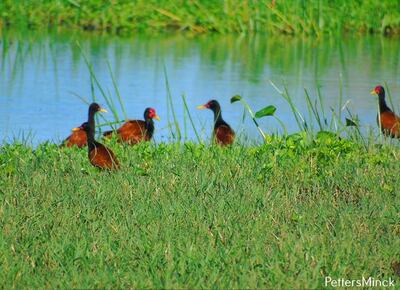 /pf/resources/images/abc-placeholder.png?d=2394