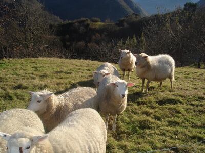 Imagen sin descripción