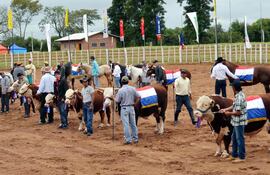 desfile-de-los-animales-premiados-en-el-ruedo-central-ayer-durante-la-inauguracion-oficial-de-la-expoferia--194114000000-1340381.jpg