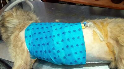 /pf/resources/images/abc-placeholder.png?d=2394