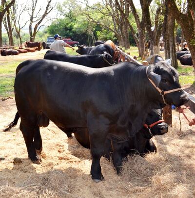 /pf/resources/images/abc-placeholder.png?d=2395