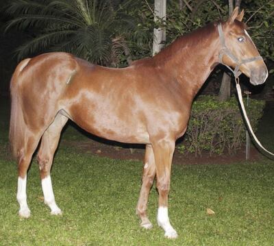 Imagen sin descripción