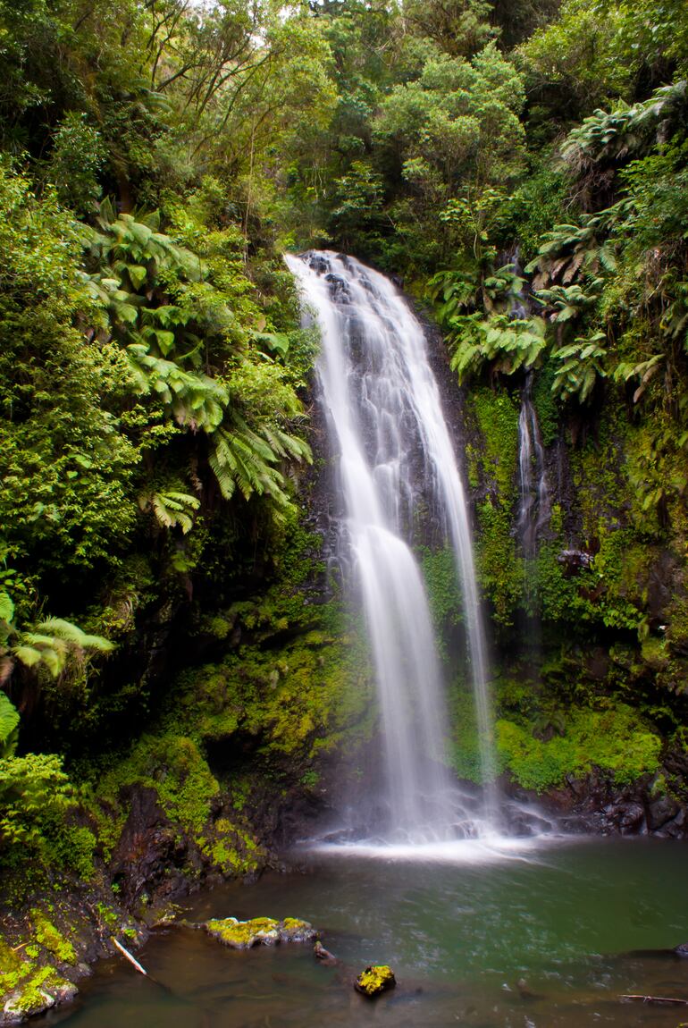 El Parque Nacional de la Montagne d'Ambre de Madagascar también es digno de verse.