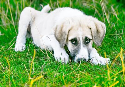 /pf/resources/images/abc-placeholder.png?d=2399