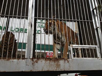 /pf/resources/images/abc-placeholder.png?d=2433