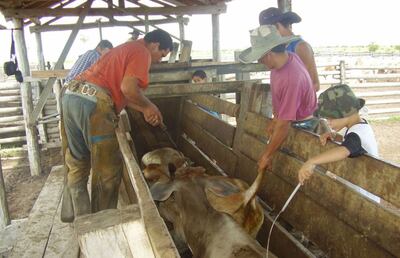 /pf/resources/images/abc-placeholder.png?d=2433