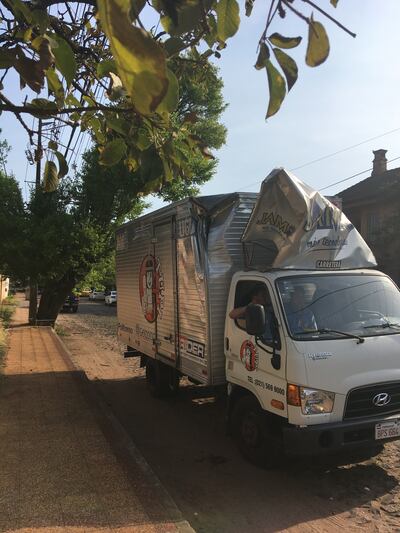 Árbol peligroso en el barrio Recoleta.