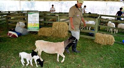 /pf/resources/images/abc-placeholder.png?d=2393