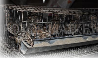 /pf/resources/images/abc-placeholder.png?d=2419