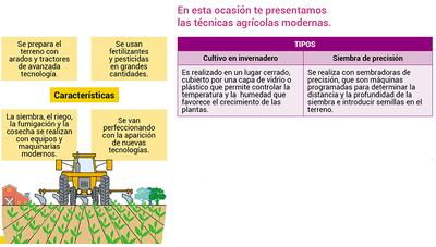 Técnicas agrícolas 2