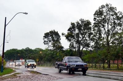 Una lluvia mansa es la que cayó ayer sobre la zona de Misiones, lo que aplacó el calor y regó las áreas de cultivo.