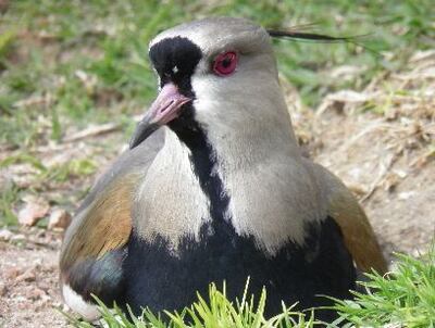 Imagen sin descripción