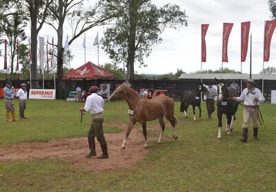 /pf/resources/images/abc-placeholder.png?d=2393