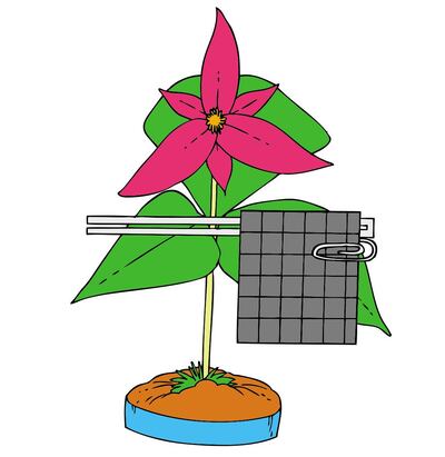 Imagen sin descripción