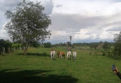 /pf/resources/images/abc-placeholder.png?d=2395