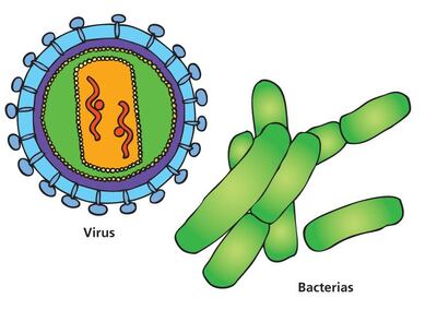 /pf/resources/images/abc-placeholder.png?d=2420