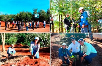 Itaipú Binacional trabaja en la restauración  de bosques nativos.