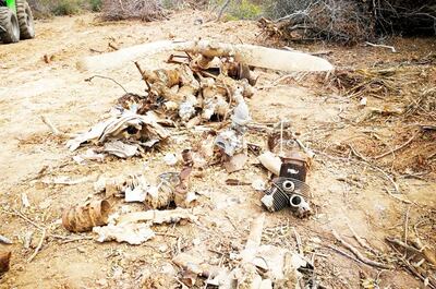 /pf/resources/images/abc-placeholder.png?d=2393