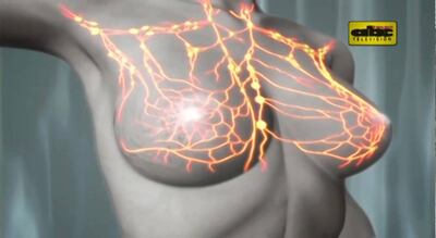 Imagen sin descripción