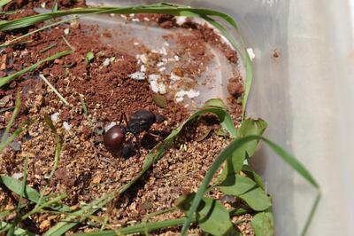 /pf/resources/images/abc-placeholder.png?d=2394