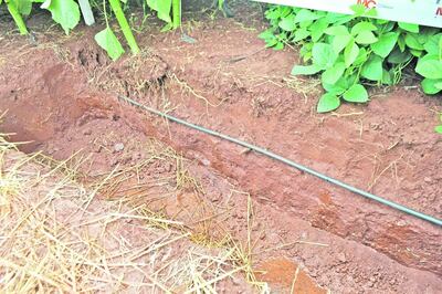 /pf/resources/images/abc-placeholder.png?d=2423