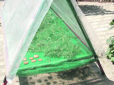 /pf/resources/images/abc-placeholder.png?d=2421