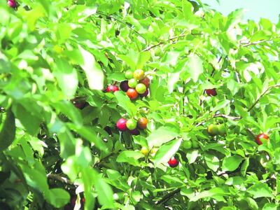 /pf/resources/images/abc-placeholder.png?d=2395