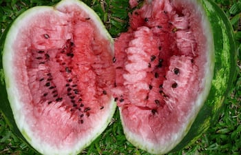 la-sandia-104137000000-1644921.JPG