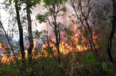 /pf/resources/images/abc-placeholder.png?d=2430