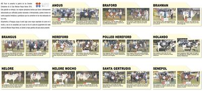 /pf/resources/images/abc-placeholder.png?d=2394