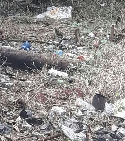 Imagen sin descripción