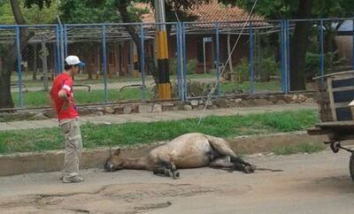 /pf/resources/images/abc-placeholder.png?d=2417