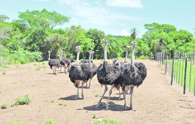 /pf/resources/images/abc-placeholder.png?d=2395