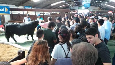 /pf/resources/images/abc-placeholder.png?d=2395