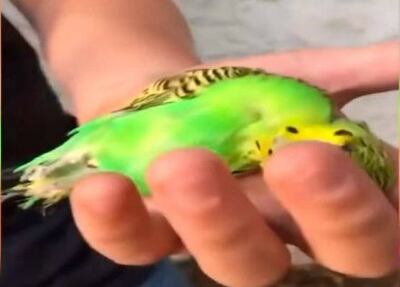 /pf/resources/images/abc-placeholder.png?d=2399