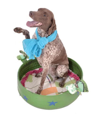 Imagen sin descripción