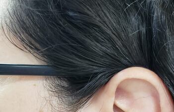 Oreja, auricular, oído.