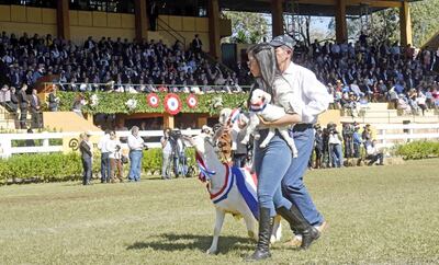 /pf/resources/images/abc-placeholder.png?d=2394